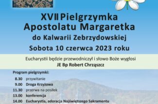 Thumbnail for the post titled: XVII PIELGRZYMKA APOSTOLATU MARGARETKA