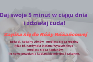 Thumbnail for the post titled: Nowe Róże Różańcowe.