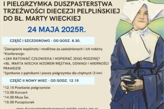Thumbnail for the post titled: Pielgrzymka Duszpasterstwa Trzeźwości.