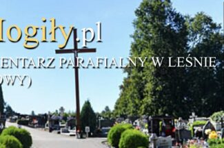 Thumbnail for the post titled: Cmentarze w internecie.